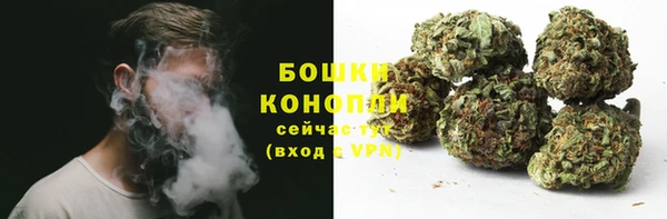 ГАЛЛЮЦИНОГЕННЫЕ ГРИБЫ Навашино
