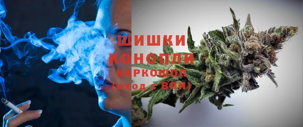 PSILOCYBIN Дмитриев