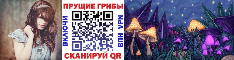 Псилоцибиновые грибы прущие грибы  Зея 