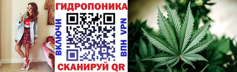 Канабис Ganja OMG онион Зея как найти