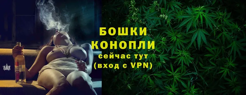 мега ссылки  наркота  Зея  Конопля SATIVA & INDICA 